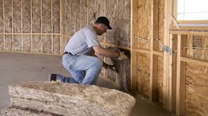 Best Eco-Friendly Insulation Solutions  in Line Acres, MO